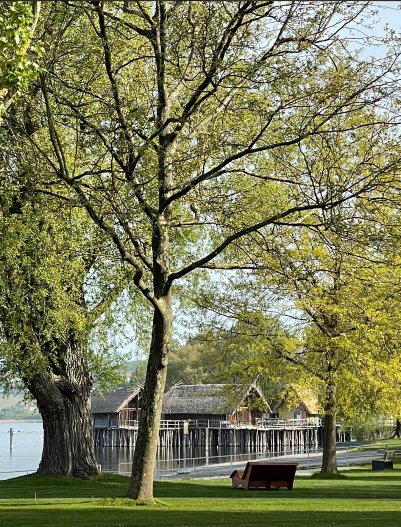 Gaestehaus Maeder Am Hafen Uhldingen-Muehlhofen Luaran gambar